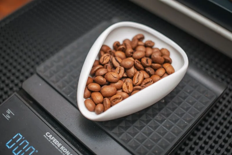 Food Weight Scale Amazon
